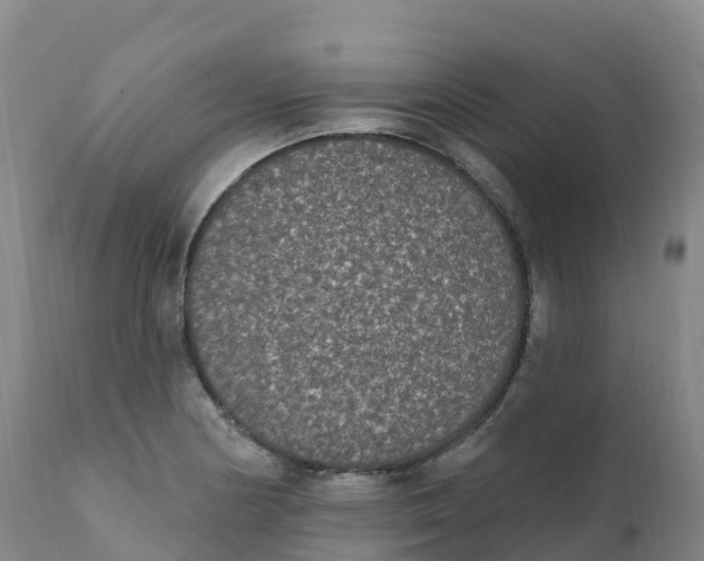 X0000111831178200908131539