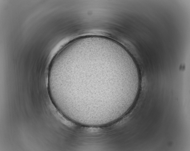 X0000111831180200908131539