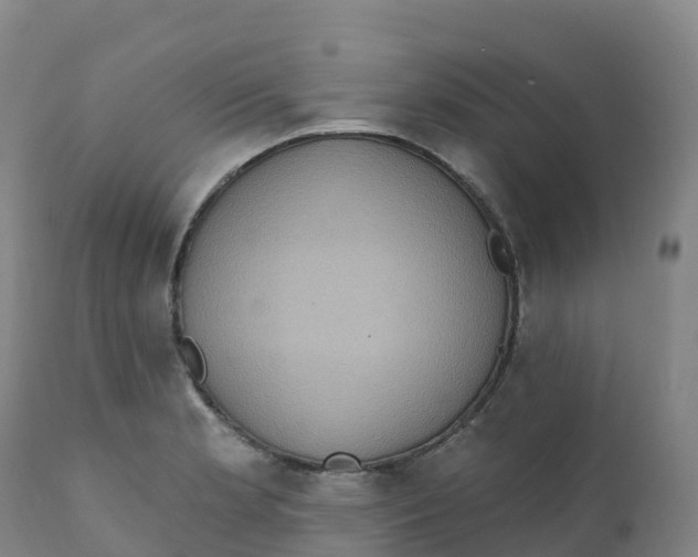 X0000111831181200908131539