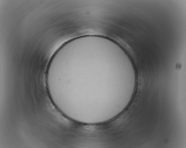 X0000111831182200908131539