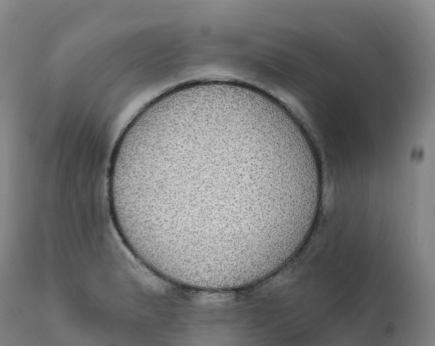 X0000111831183200908131539