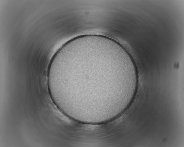 X0000111831184200908131539