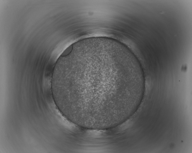 X0000111831185200908131539