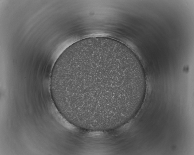 X0000111831186200908131539