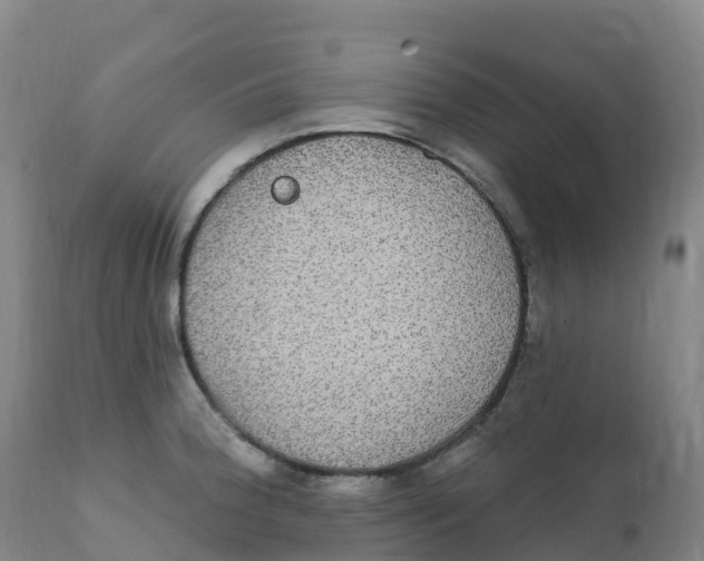 X0000111831188200908131539