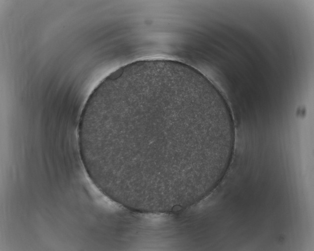 X0000111831189200908131539