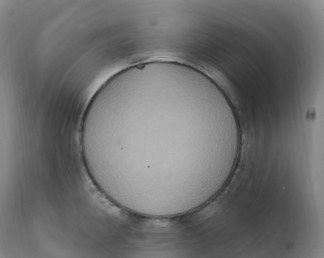 X0000111831190200908131539