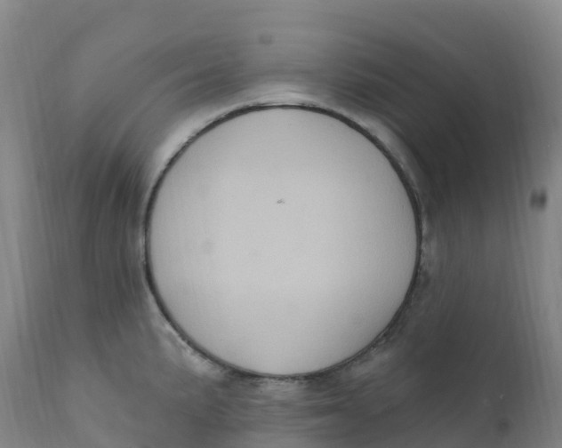 X0000111831191200908131539