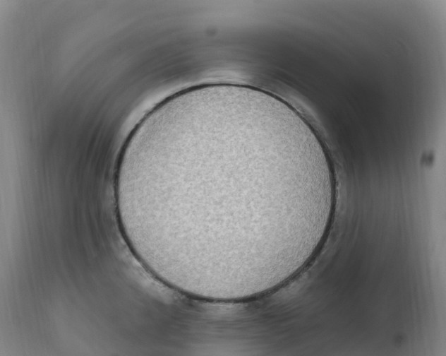 X0000111831192200908131539