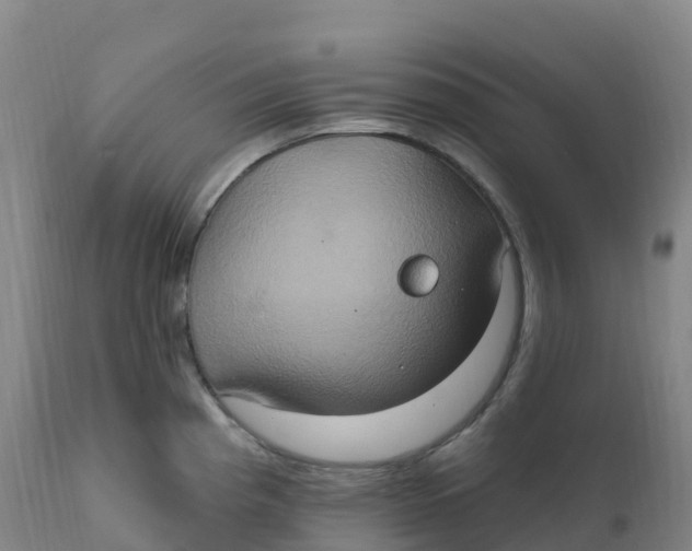 X0000111831193200908131539