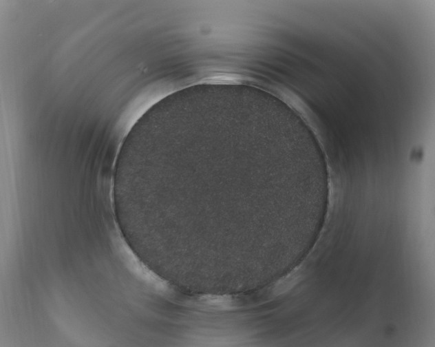 X0000111831194200908131539