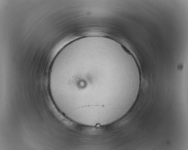 X0000111831195200908131539