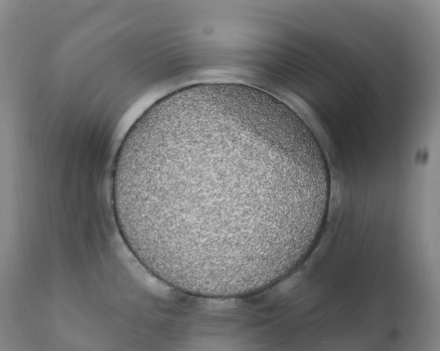 X0000111831196200908131539