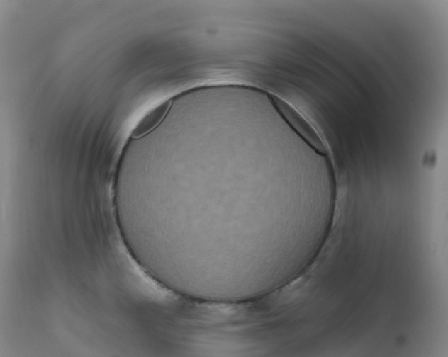 X0000111831197200908131539