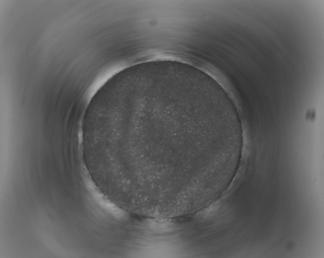 X0000111831198200908131539