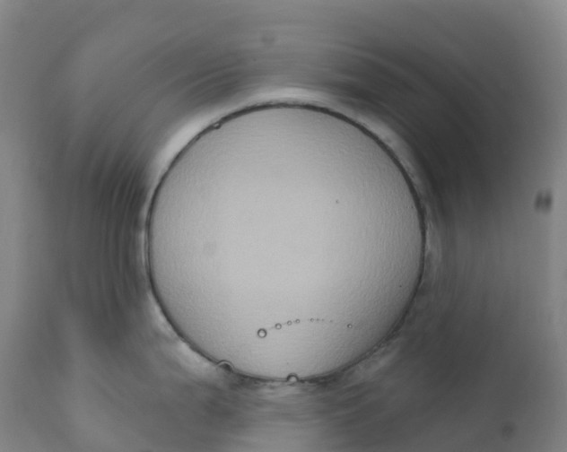 X0000111831199200908131539