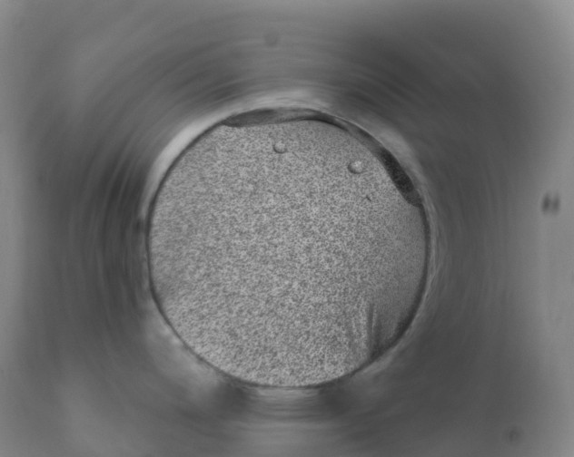 X0000111831200200908131539