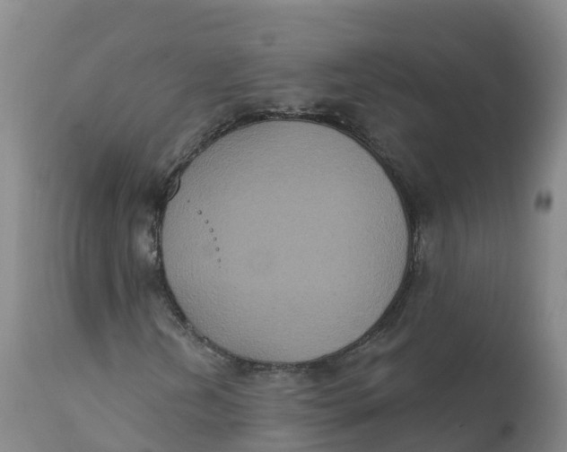 X0000111831202200908131538