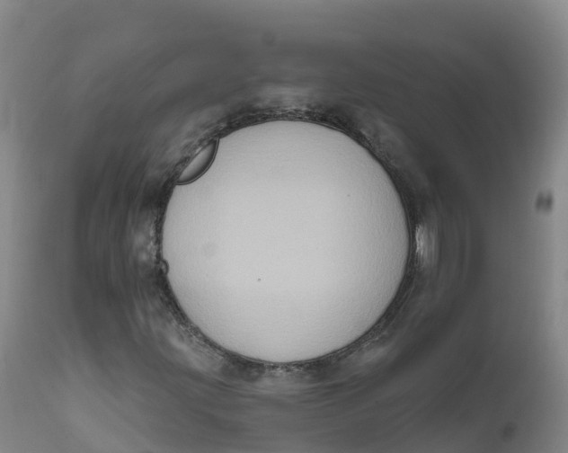 X0000111831203200908131538