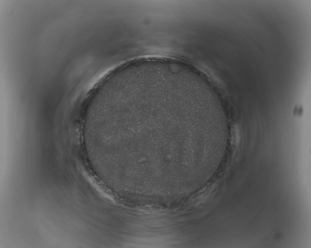 X0000111831208200908131538