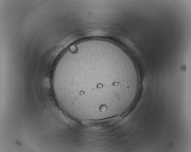 X0000111831209200908131538