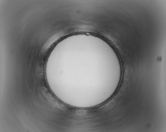 X0000111831211200908131538