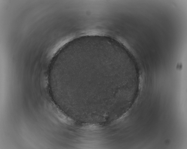 X0000111831213200908131538