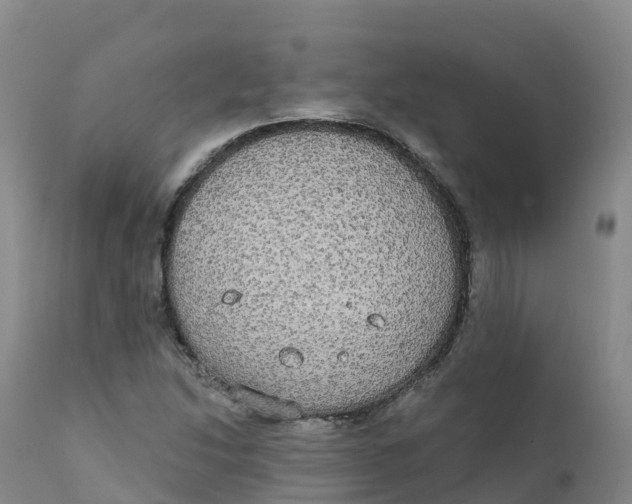 X0000111831214200908131538