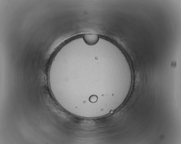 X0000111831215200908131538