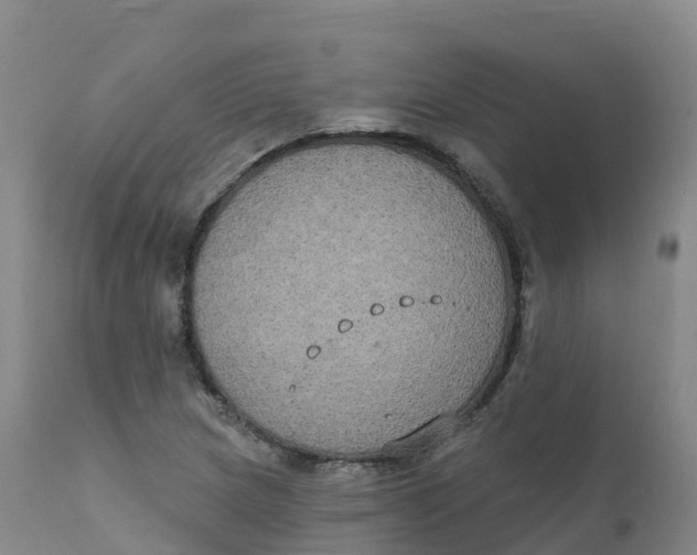 X0000111831217200908131538