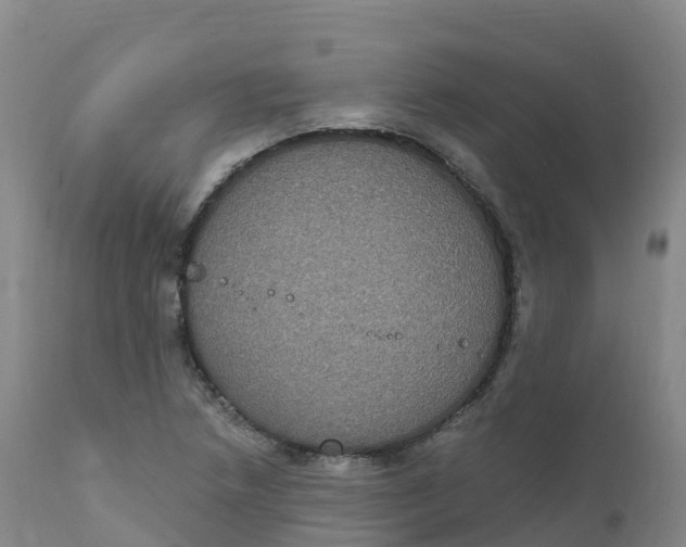 X0000111831218200908131538