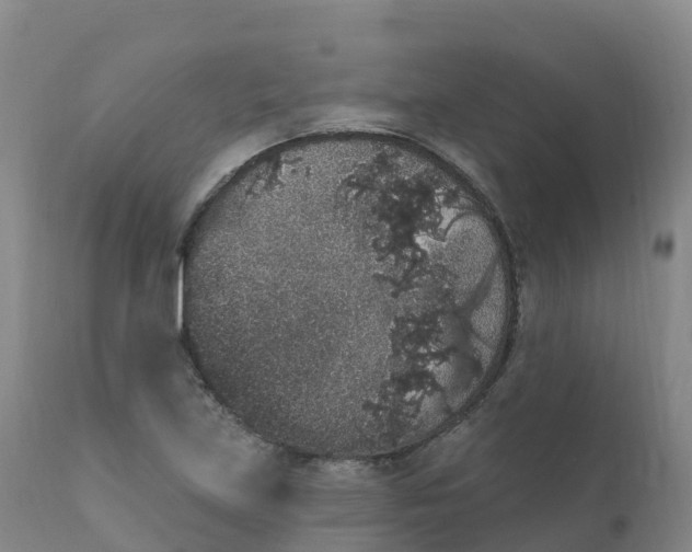 X0000111831219200908131538