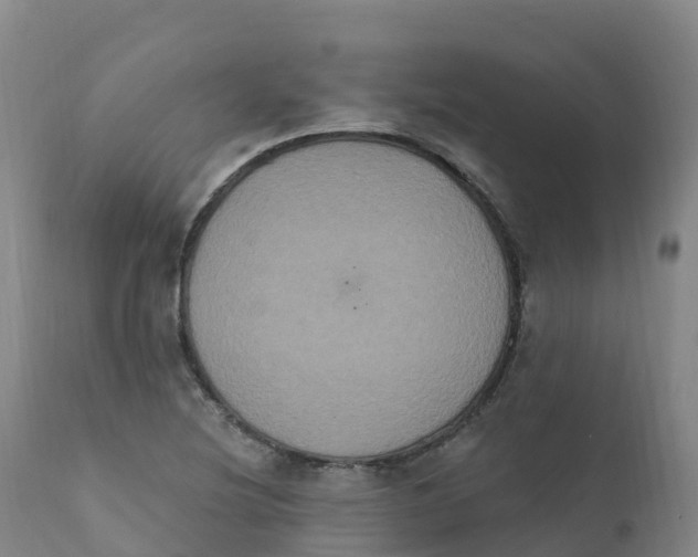 X0000111831220200908131538