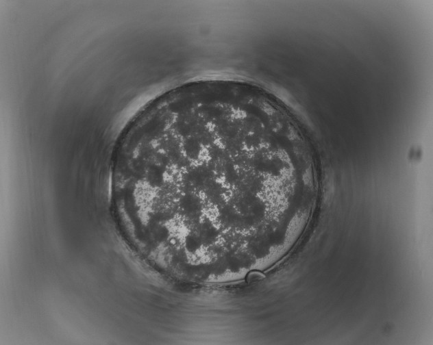 X0000111831221200908131538