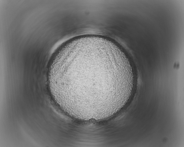 X0000111831222200908131538