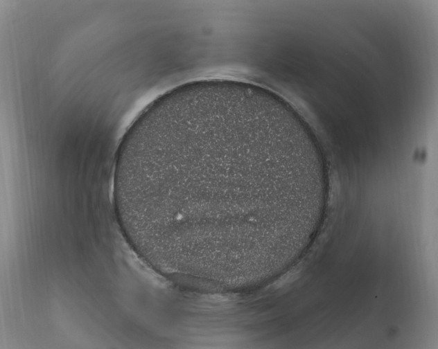 X0000111831224200908131538