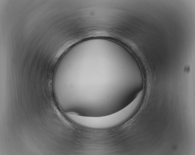 X0000111831225200908131538