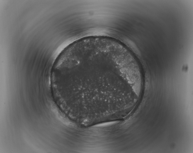 X0000111831226200908131538