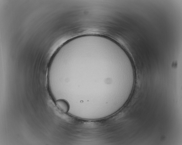 X0000111831227200908131538