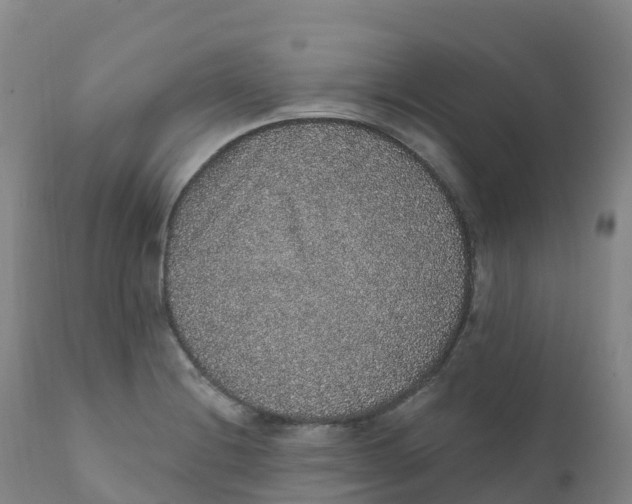 X0000111831228200908131538