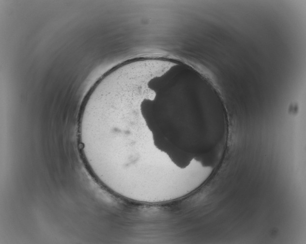 X0000111831231200908131538