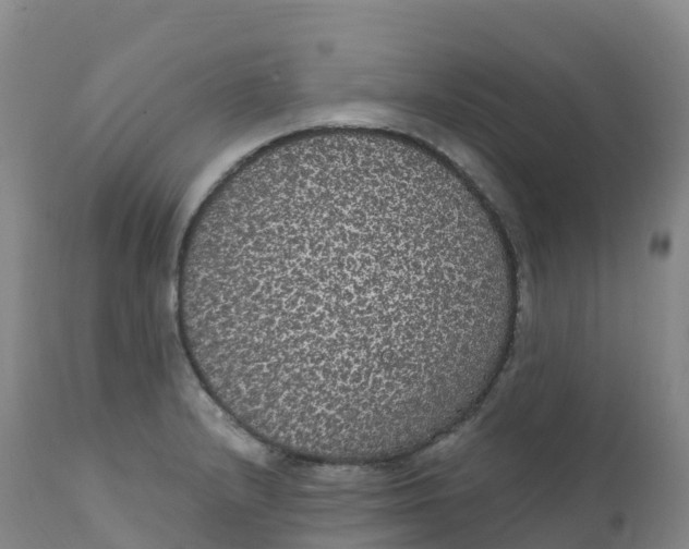 X0000111831232200908131538