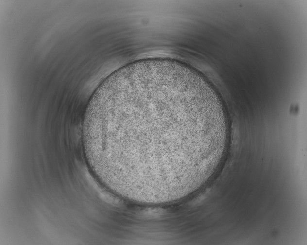 X0000111831233200908131538