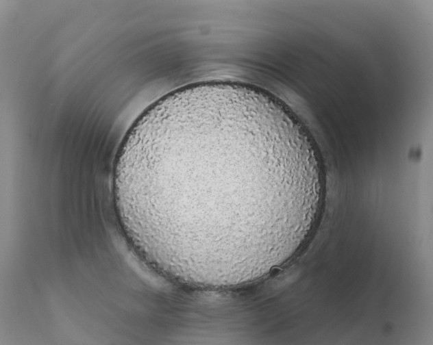 X0000111831234200908131538