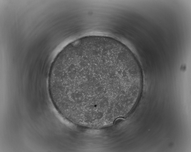 X0000111831237200908131538