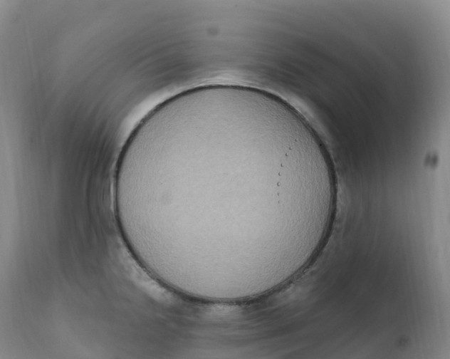 X0000111831238200908131538