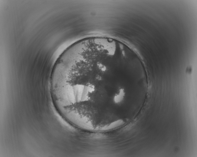 X0000111831239200908131538