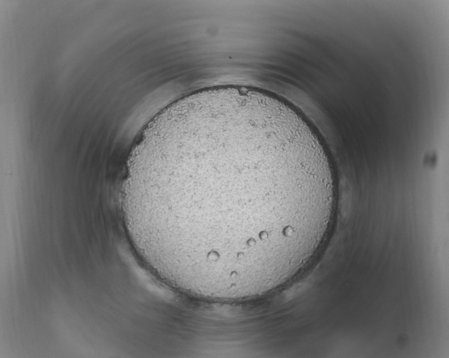 X0000111831241200908131539