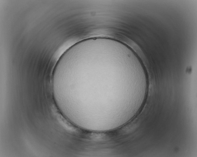 X0000111831242200908131539