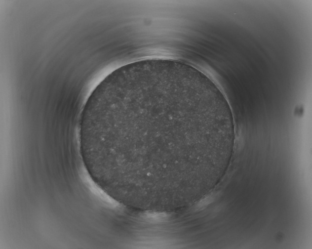 X0000111831243200908131539